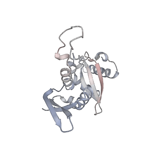 16191_8bqx_U_v1-1
Yeast 80S ribosome in complex with Map1 (conformation 2)