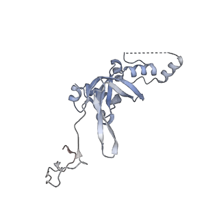 16191_8bqx_V_v1-1
Yeast 80S ribosome in complex with Map1 (conformation 2)
