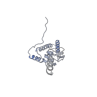 16191_8bqx_W_v1-1
Yeast 80S ribosome in complex with Map1 (conformation 2)