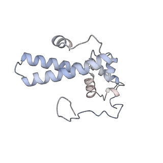 16191_8bqx_Y_v1-1
Yeast 80S ribosome in complex with Map1 (conformation 2)