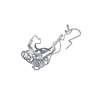 16191_8bqx_Z_v1-1
Yeast 80S ribosome in complex with Map1 (conformation 2)