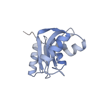 16191_8bqx_b_v1-1
Yeast 80S ribosome in complex with Map1 (conformation 2)