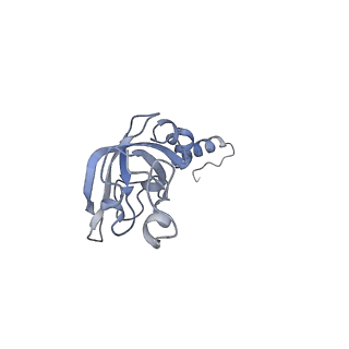 16191_8bqx_c_v1-1
Yeast 80S ribosome in complex with Map1 (conformation 2)