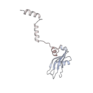 16191_8bqx_d_v1-1
Yeast 80S ribosome in complex with Map1 (conformation 2)