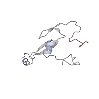 16191_8bqx_e_v1-1
Yeast 80S ribosome in complex with Map1 (conformation 2)