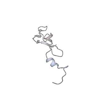 16191_8bqx_f_v1-1
Yeast 80S ribosome in complex with Map1 (conformation 2)
