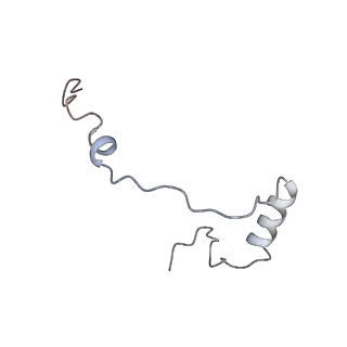 16191_8bqx_g_v1-1
Yeast 80S ribosome in complex with Map1 (conformation 2)
