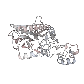 16191_8bqx_x_v1-1
Yeast 80S ribosome in complex with Map1 (conformation 2)