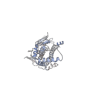 30155_7bqt_A_v1-1
Epstein-Barr virus, C12 portal dodecamer