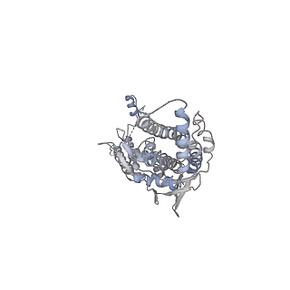 30155_7bqt_B_v1-1
Epstein-Barr virus, C12 portal dodecamer