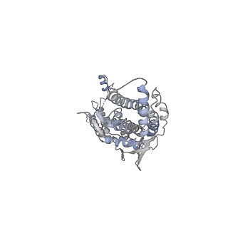 30155_7bqt_B_v1-2
Epstein-Barr virus, C12 portal dodecamer