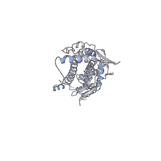30155_7bqt_C_v1-1
Epstein-Barr virus, C12 portal dodecamer