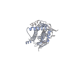 30155_7bqt_C_v1-2
Epstein-Barr virus, C12 portal dodecamer