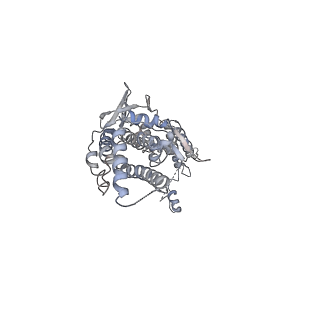 30155_7bqt_D_v1-1
Epstein-Barr virus, C12 portal dodecamer