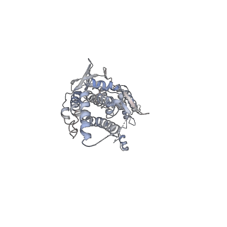 30155_7bqt_D_v1-2
Epstein-Barr virus, C12 portal dodecamer