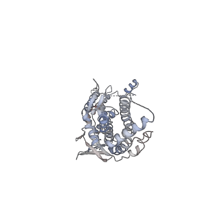 30155_7bqt_F_v1-1
Epstein-Barr virus, C12 portal dodecamer