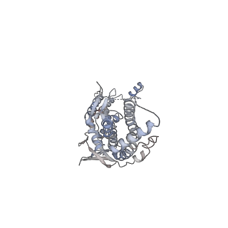 30155_7bqt_F_v1-2
Epstein-Barr virus, C12 portal dodecamer