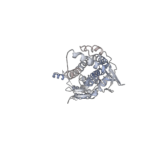 30155_7bqt_G_v1-1
Epstein-Barr virus, C12 portal dodecamer