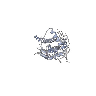 30155_7bqt_H_v1-1
Epstein-Barr virus, C12 portal dodecamer