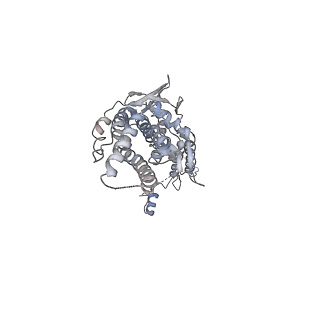 30155_7bqt_I_v1-1
Epstein-Barr virus, C12 portal dodecamer