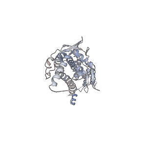 30155_7bqt_I_v1-2
Epstein-Barr virus, C12 portal dodecamer