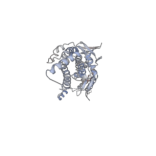 30155_7bqt_J_v1-1
Epstein-Barr virus, C12 portal dodecamer