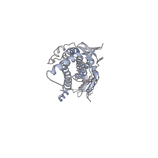 30155_7bqt_J_v1-2
Epstein-Barr virus, C12 portal dodecamer