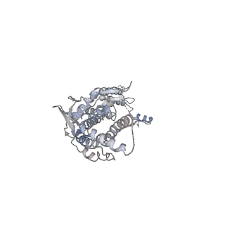 30155_7bqt_K_v1-1
Epstein-Barr virus, C12 portal dodecamer