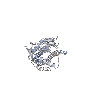 30155_7bqt_K_v1-2
Epstein-Barr virus, C12 portal dodecamer