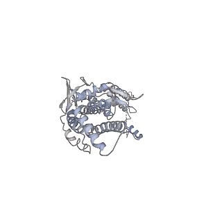 30155_7bqt_L_v1-1
Epstein-Barr virus, C12 portal dodecamer