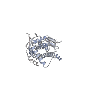 30155_7bqt_L_v1-2
Epstein-Barr virus, C12 portal dodecamer