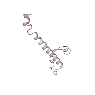 30157_7bqx_2_v1-2
Epstein-Barr virus, C5 portal vertex