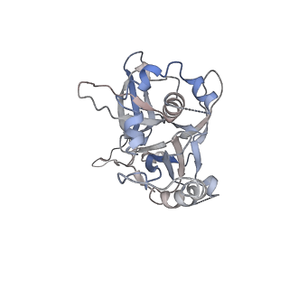 30157_7bqx_5_v1-1
Epstein-Barr virus, C5 portal vertex