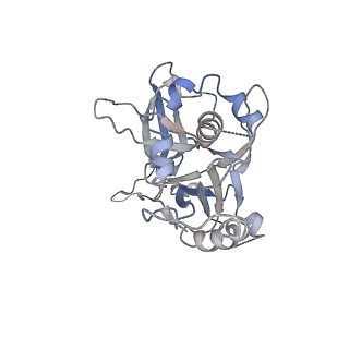 30157_7bqx_5_v1-2
Epstein-Barr virus, C5 portal vertex