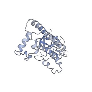 30157_7bqx_6_v1-1
Epstein-Barr virus, C5 portal vertex