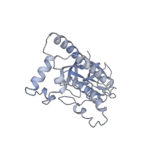 30157_7bqx_6_v1-2
Epstein-Barr virus, C5 portal vertex