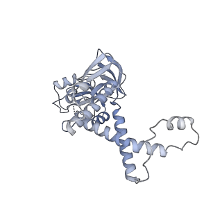 30157_7bqx_7_v1-1
Epstein-Barr virus, C5 portal vertex