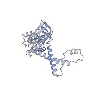 30157_7bqx_7_v1-2
Epstein-Barr virus, C5 portal vertex