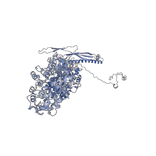 30157_7bqx_S_v1-2
Epstein-Barr virus, C5 portal vertex