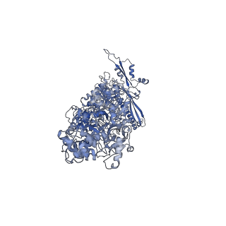 30157_7bqx_T_v1-1
Epstein-Barr virus, C5 portal vertex