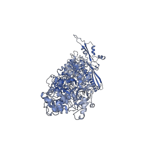 30157_7bqx_T_v1-2
Epstein-Barr virus, C5 portal vertex