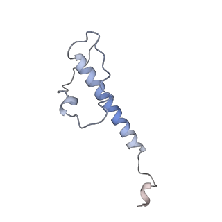 30157_7bqx_Y_v1-1
Epstein-Barr virus, C5 portal vertex