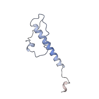 30157_7bqx_Y_v1-2
Epstein-Barr virus, C5 portal vertex