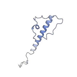 30157_7bqx_Z_v1-1
Epstein-Barr virus, C5 portal vertex