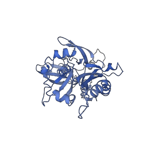 30157_7bqx_e_v1-1
Epstein-Barr virus, C5 portal vertex