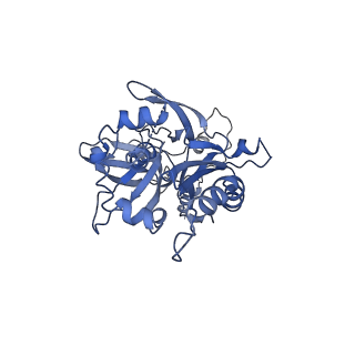 30157_7bqx_e_v1-2
Epstein-Barr virus, C5 portal vertex