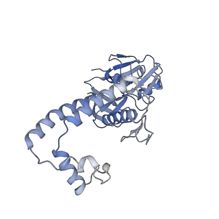 30157_7bqx_f_v1-1
Epstein-Barr virus, C5 portal vertex