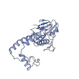 30157_7bqx_f_v1-2
Epstein-Barr virus, C5 portal vertex