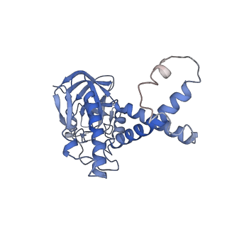 30157_7bqx_g_v1-1
Epstein-Barr virus, C5 portal vertex