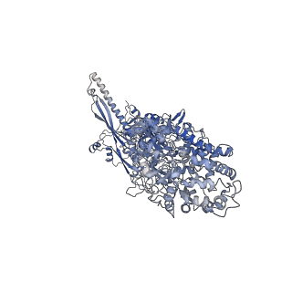 30157_7bqx_x_v1-2
Epstein-Barr virus, C5 portal vertex